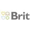 brit-100x100-1-1.jpg