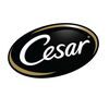 cesar_logo-100x100-1-1.jpg