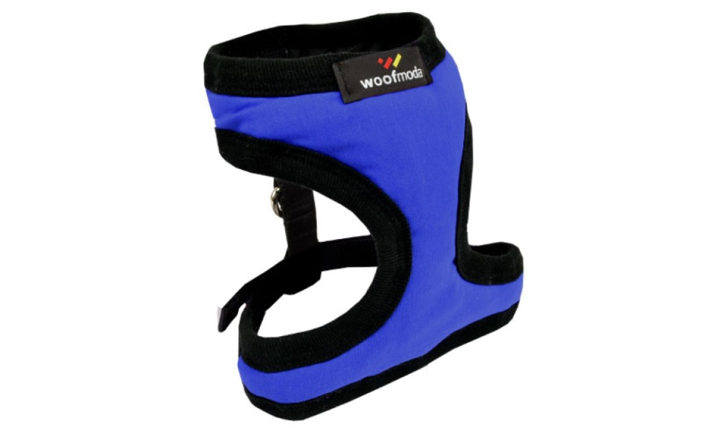 WOOF MODA ΣΑΜΑΡΑΚΙ ΜΠΛΕ ΡΟΥΑ XL 21-34CM