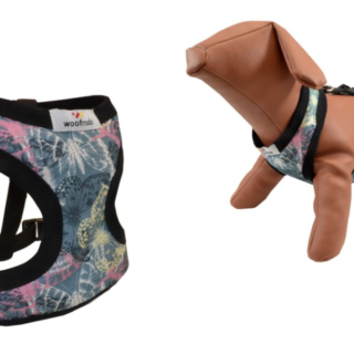 WOOF MODA ΣΑΜΑΡΑΚΙ BUTTERFLY XXL