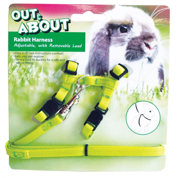 HAPPY PET RABBIT HARNESS & LEAD GREEN