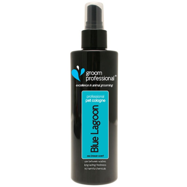 GROOM PROFESSIONAL COLOGNE BLUE LAGOON 100ML