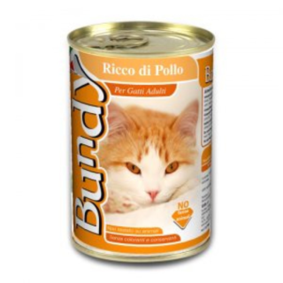 BUNDY PATE CHICKEN 400GR