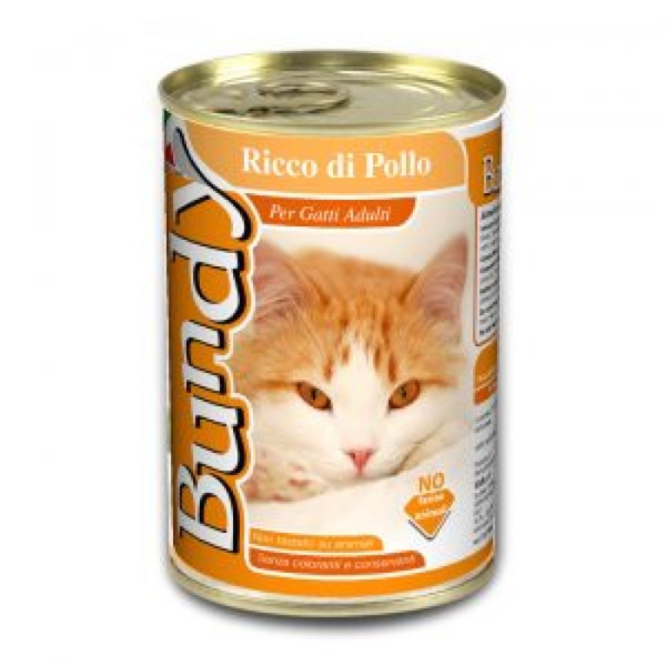 BUNDY PATE CHICKEN 400GR