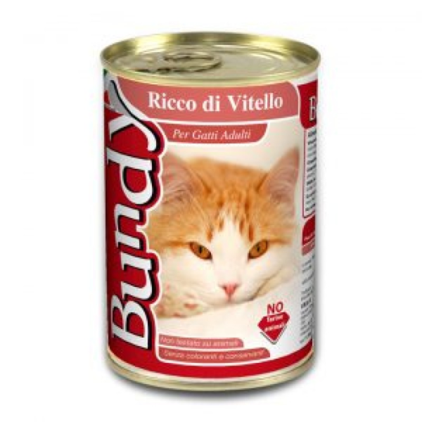 BUNDY PATE BEEF 400GR