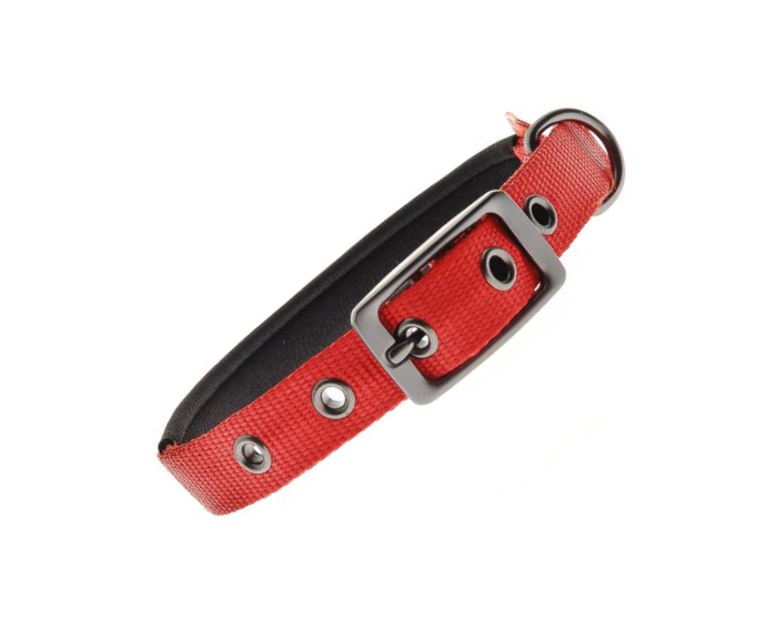 FERRIBIELLA COLLAR NYLON PADDED 75X2.5CM RED