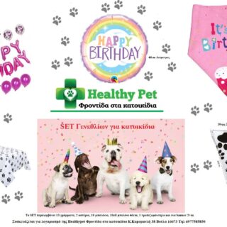 HEALTHY PET PARTY SET HAPPY BIRTHDAY PINK