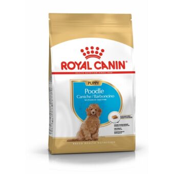 ROYAL CANIN POODLE PUPPY 3KG