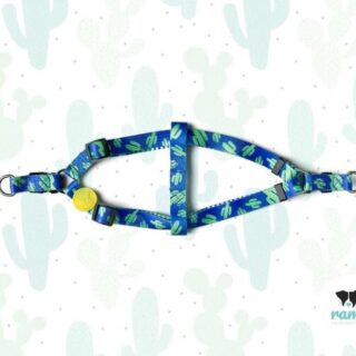 RAMY HARNESS STEP IN CACTUS L
