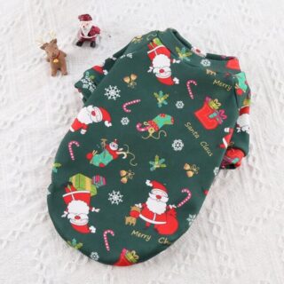DENIK PET CLOTHES XMAS SANTA GREEN XL 40CM
