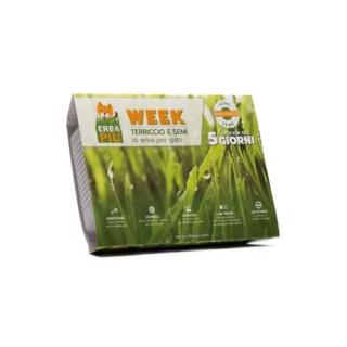 Erba Piu Cat Grass Tray