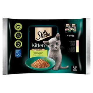 Sheba Mega Pack Kitten Mixed Σε Σαλτσα 4Χ85Gr