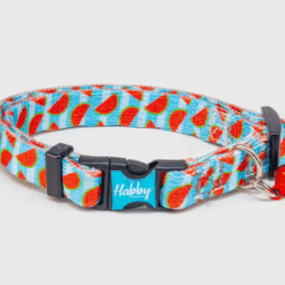 Habby Cat Collar (N.02) 19-27Cm/10Mm