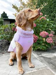 Ohana Dog Jacket Adelaide Lilac M 35Cm