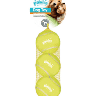 PAWISE SPONGE BALL 3PCS