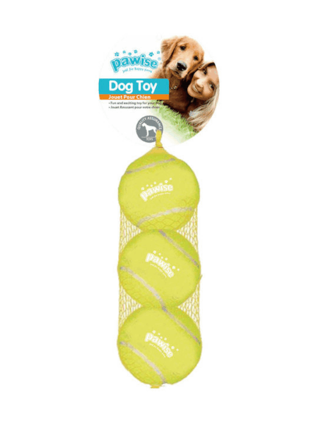 PAWISE SPONGE BALL 3PCS