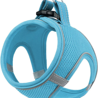ZAMPA ΣΑΜΑΡΑΚΙ AIR-MESH M BLUE
