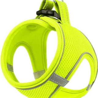 ZAMPA ΣΑΜΑΡΑΚΙ AIR-MESH M YELLOW