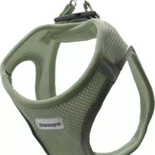 Zampa Σαμαρακι Air-Mesh M Green