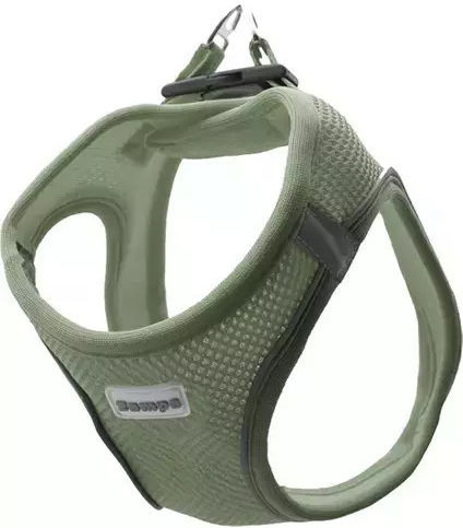Zampa Σαμαρακι Air-Mesh M Green