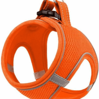 ZAMPA ΣΑΜΑΡΑΚΙ AIR-MESH M ORANGE