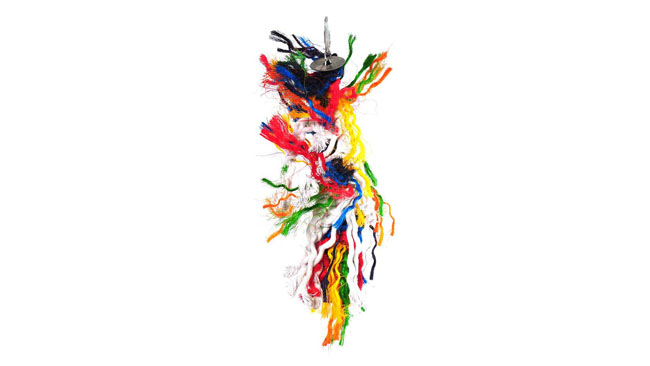 Happy Pet Preener Bird Toy