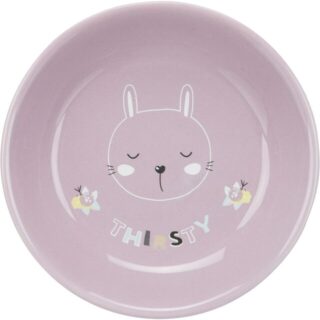 TRIXIE ΠΙΑΤΟ ΚΕΡΑΜΙΚΟ ΓΑΤΑΣ JUNIOR 200ML/14CM
